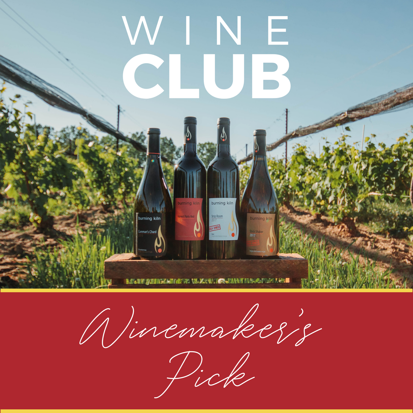 Wine Club - Winemaker's Pick 🍇